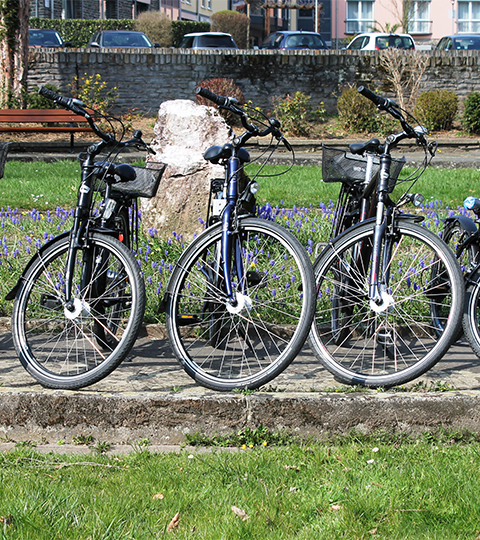 Fahrräder stehen in einer Reihe in einem Park
